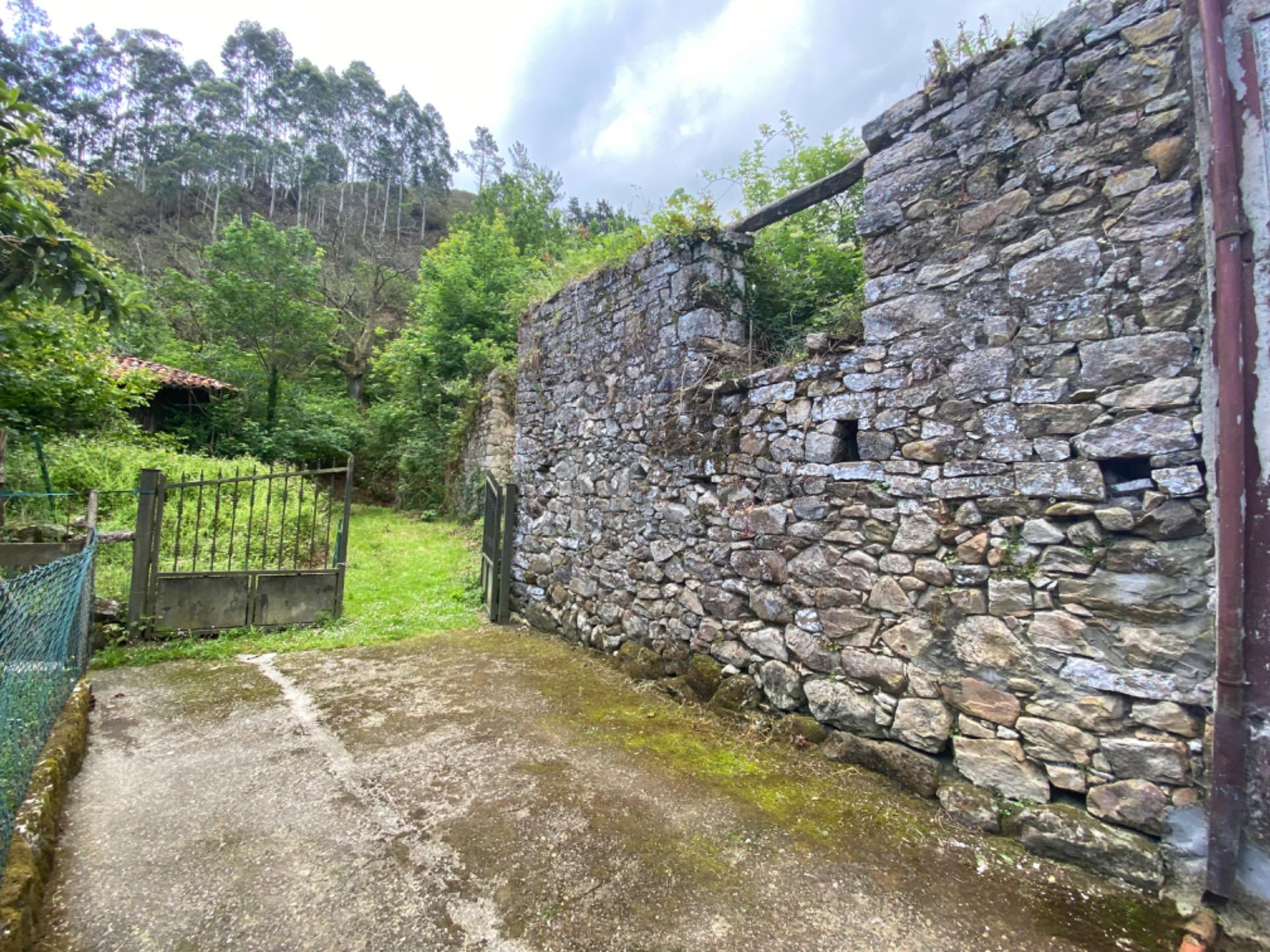 VENTA DE FINCA A 5 KM DE RIBADESELLA (Ref FINCA-0624)