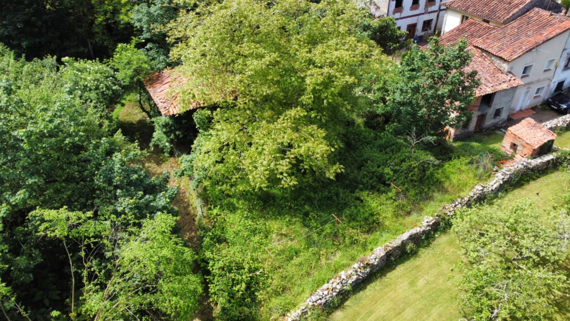 VENTA DE FINCA A 5 KM DE RIBADESELLA (Ref FINCA-0624) - Imagen 10
