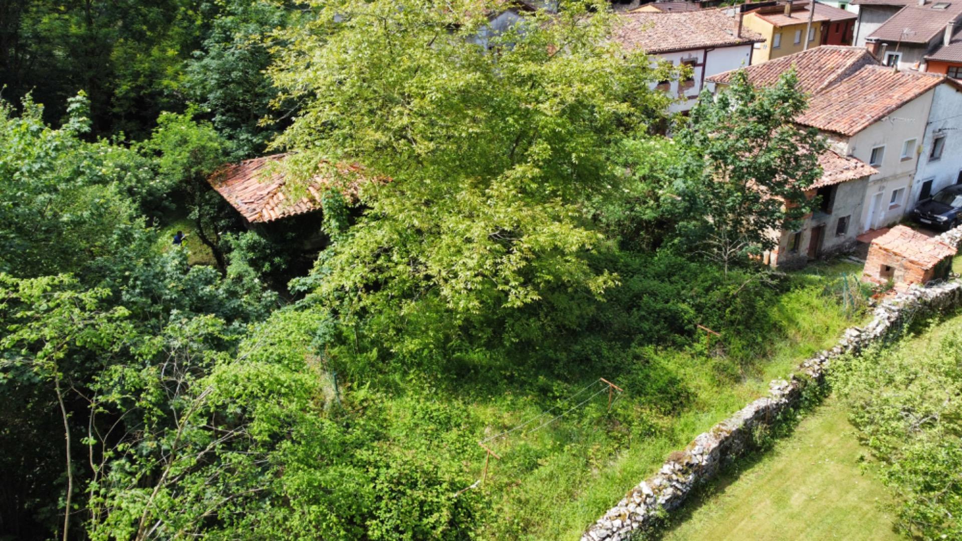 VENTA DE FINCA A 5 KM DE RIBADESELLA (Ref FINCA-0624) - Imagen 12