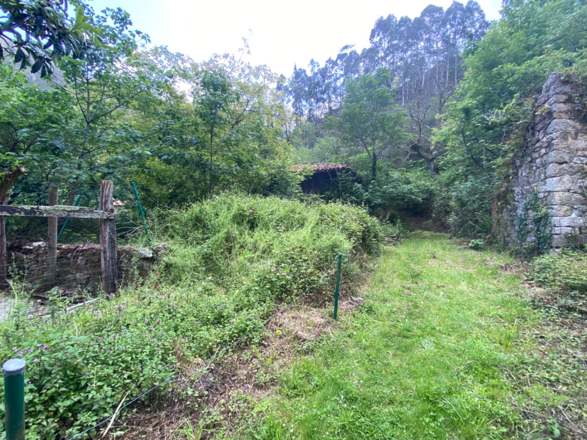 VENTA DE FINCA A 5 KM DE RIBADESELLA (Ref FINCA-0624) - Imagen 2