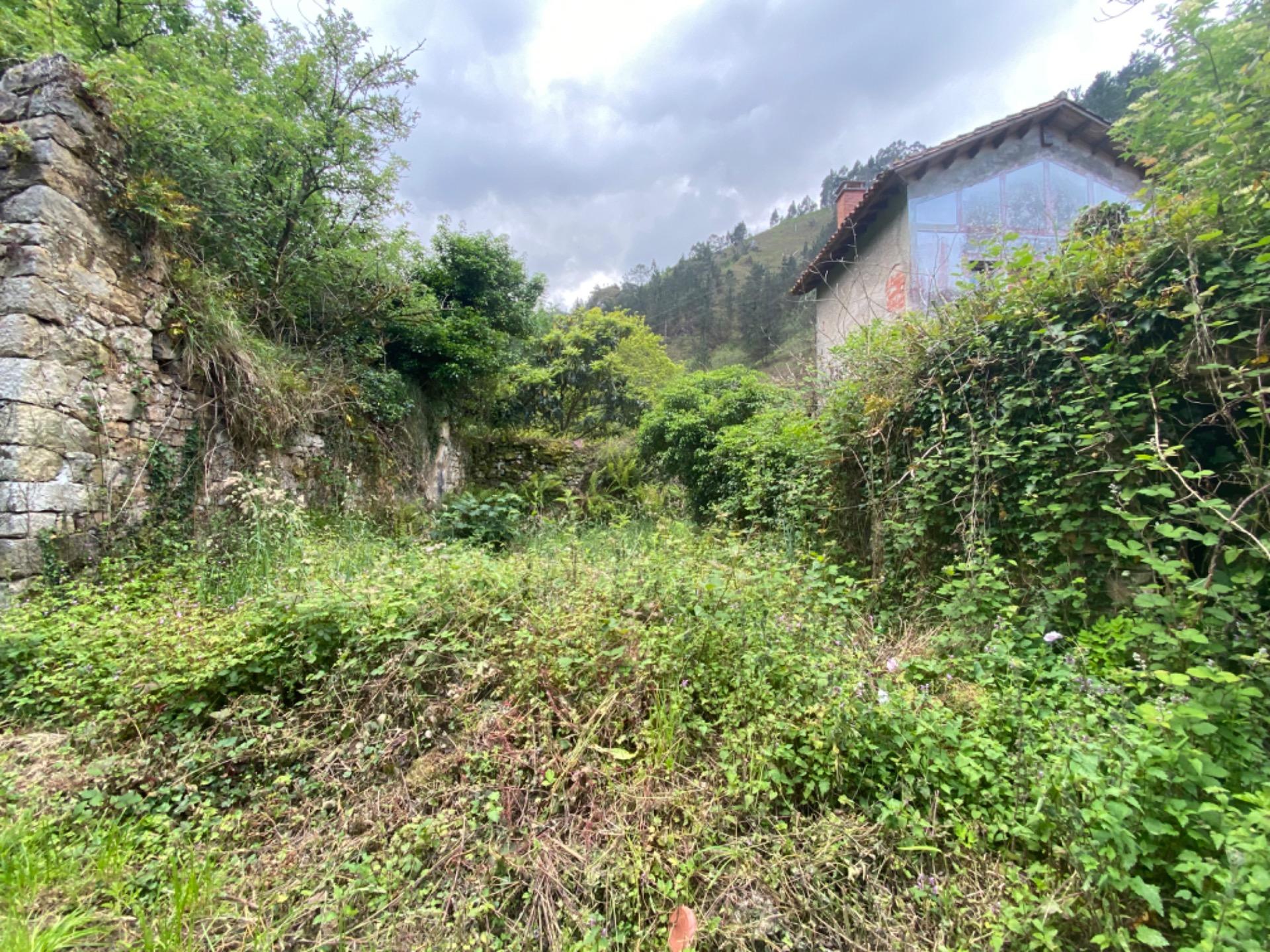 VENTA DE FINCA A 5 KM DE RIBADESELLA (Ref FINCA-0624) - Imagen 3