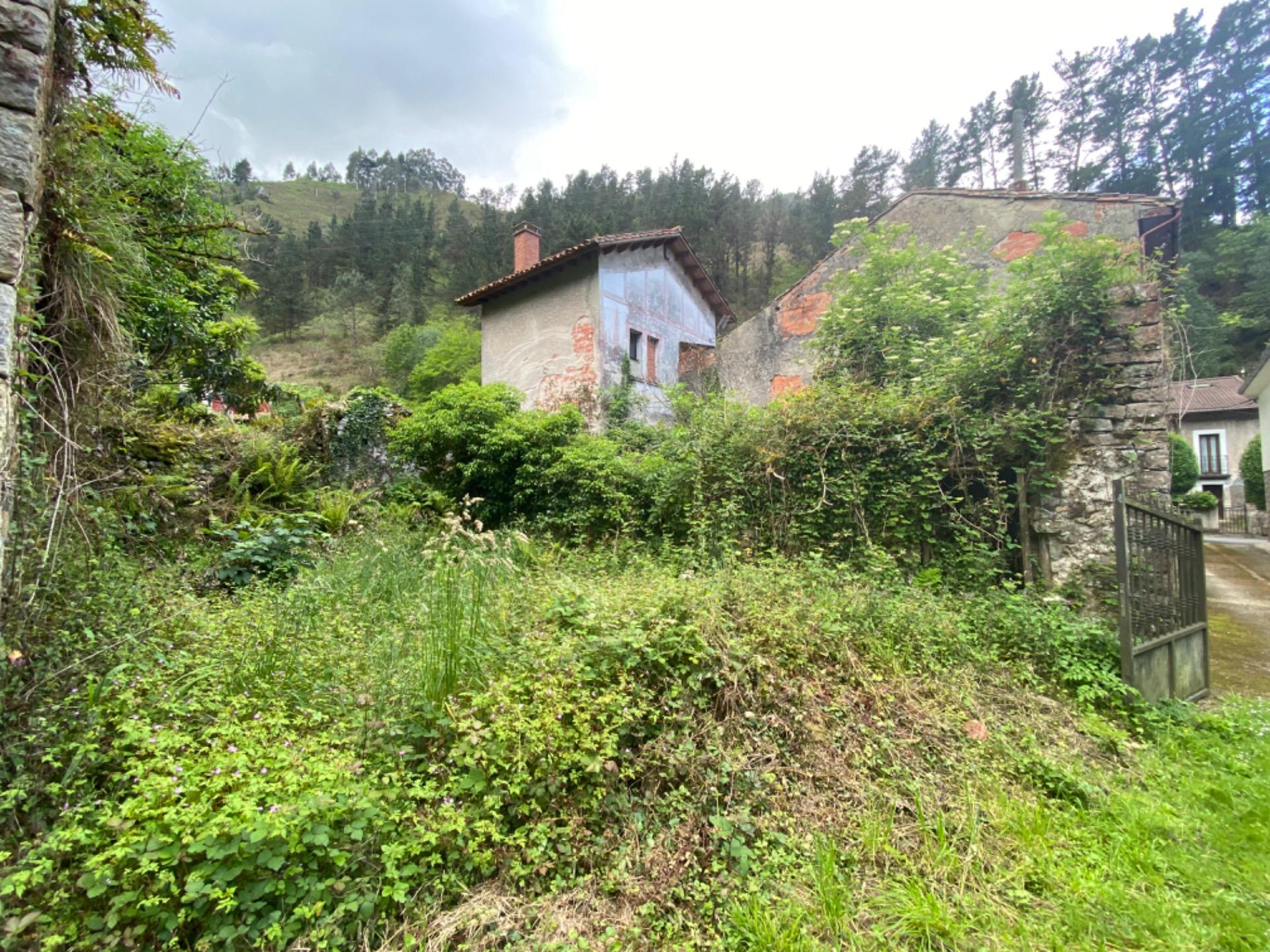 VENTA DE FINCA A 5 KM DE RIBADESELLA (Ref FINCA-0624) - Imagen 4