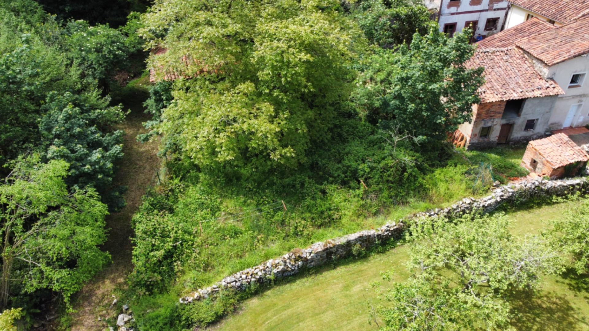 VENTA DE FINCA A 5 KM DE RIBADESELLA (Ref FINCA-0624) - Imagen 9