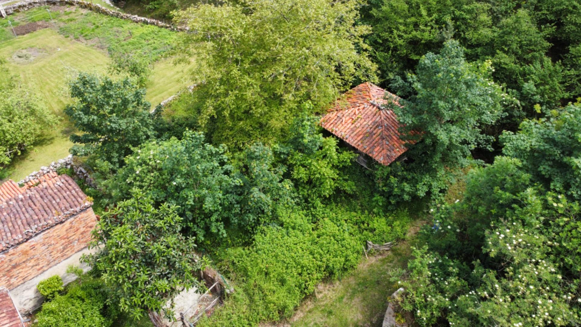 VENTA DE FINCA A 5 KM DE RIBADESELLA (Ref FINCA-0624) - Imagen 14