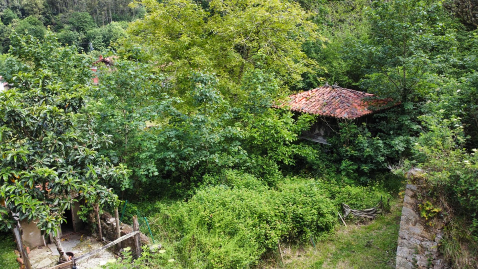 VENTA DE FINCA A 5 KM DE RIBADESELLA (Ref FINCA-0624) - Imagen 15