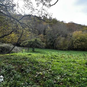 FINCA EDIFICABLE A 3 KM DE CANGAS DE ONIS (Ref FINCA-0651)